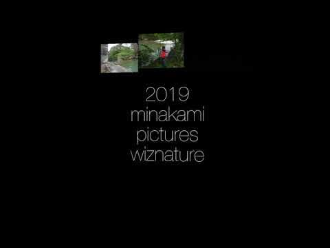 201906水上ツアー写真